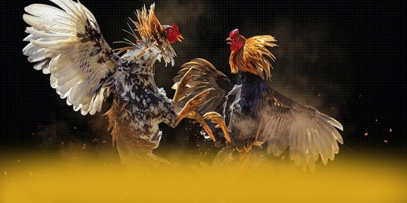 Lợi thế cạnh tranh của 8XBET trên thị trường